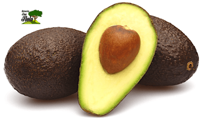 PALTA HASS KG