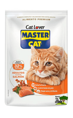 MASTER CAT ALIMENTO 500GR