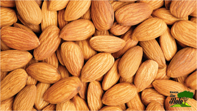 ALMENDRA KG