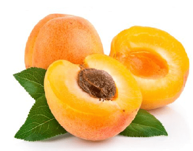 DAMASCO KG