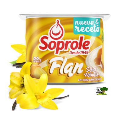 FLAN VAINILLA 120GR