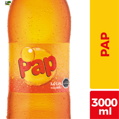 PAP 3L DESECHABLE