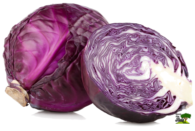 REPOLLO MORADO UNIDAD