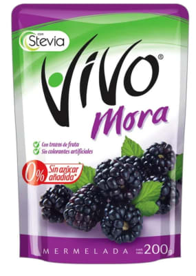 VIVO MERMELADA MORA 175GR