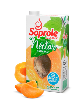 NECTAR DAMASCO 1L