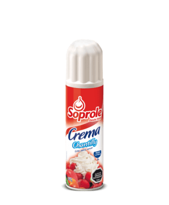 CREMA CHANTILLY 250GR