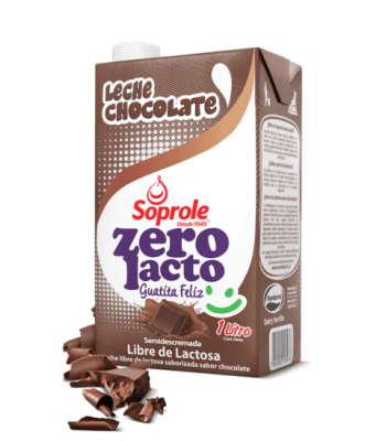 LECHE CHOCOLATE ZERO LACTO 1L