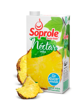 NECTAR PIÑA 1L