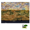 TORTILLA DE VERDURAS CON AGREGADO2