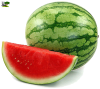 SANDIA UNIDAD1