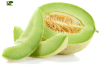 MELON TUNA UNIDAD1