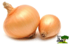 CEBOLLA KG1