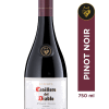 CASILLERO DEL DIABLO RESERVA PINOT NOIR 750cc1
