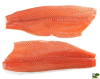 KG SALMON FILETE1