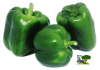 PIMENTON VERDE2