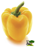 PIMENTON AMARILLO1