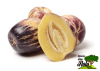 PEPINO FRUTA KG1