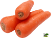 ZANAHORIA KG1