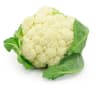 COLIFLOR UNIDAD1