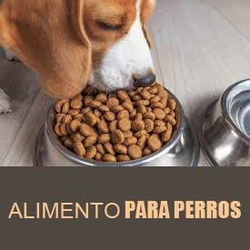 https://vervet.bsalemarket.comalimentos perros adultos