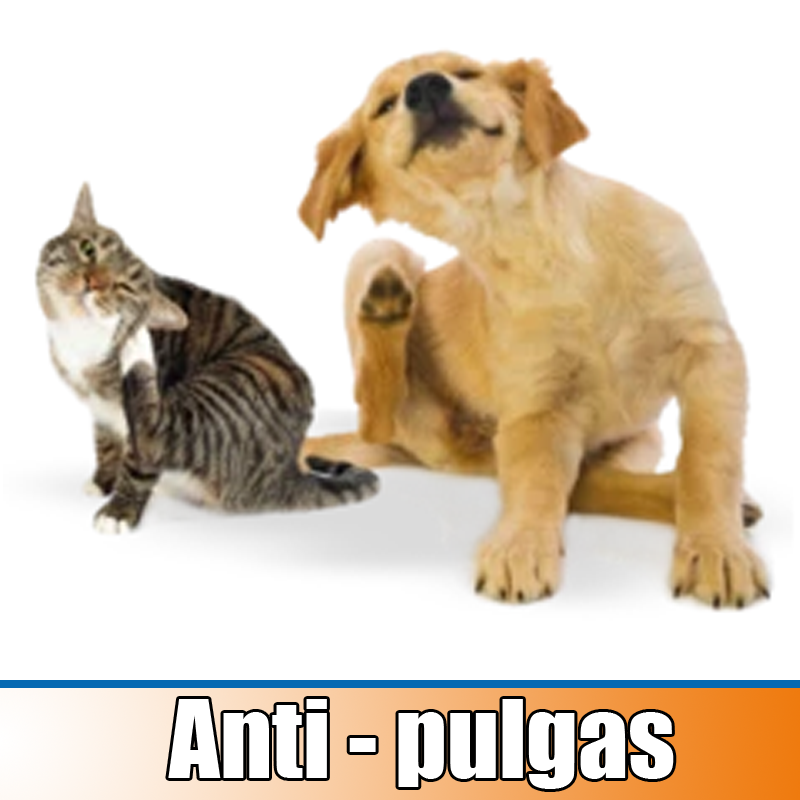 collection/anti pulgas para perros
