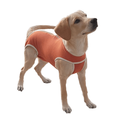 BODY COBRE COPPERPROTECTION BODY COBRE COPPERPROTECTION