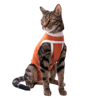 BODY COBRE COPPERPROTECTION