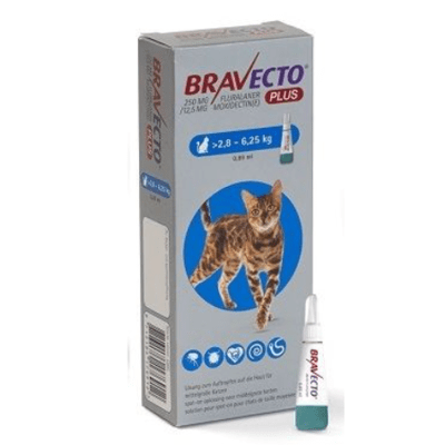 BRAVECTO PLUS GATO 2.8 - 6.25KG