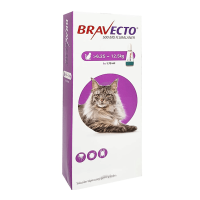 BRAVECTO PIPETA GATO 6.25 -12.5KG BRAVECTO PIPETA GATO 6.25 -12.5KG
