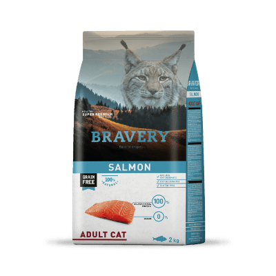 BRAVERY CAT ADULTO SALMON