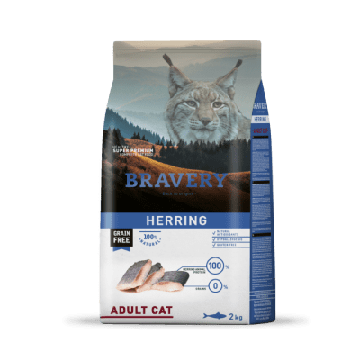 BRAVERY CAT ADULTO HERRING