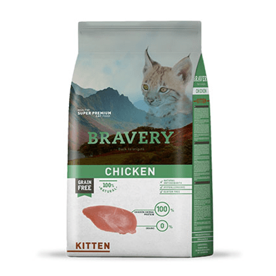 BRAVERY CAT GATITO POLLO