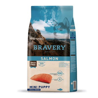 BRAVERY DOG CACHORRO RAZA PEQUEÑA SALMON
