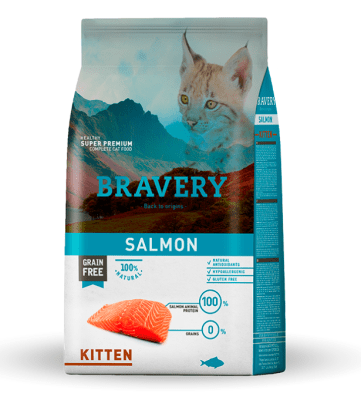 BRAVERY CAT KITTEN SALMON