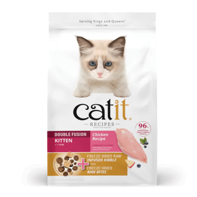 CAT IT RECIPES KITTEN