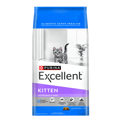 EXCELLENT KITTEN