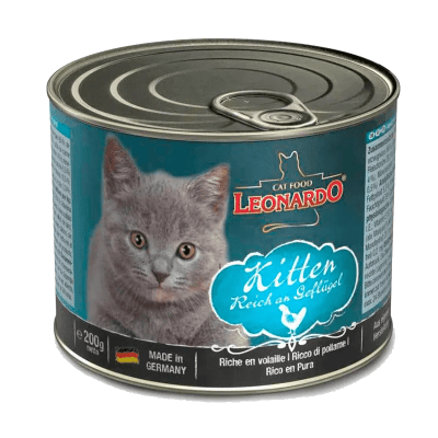 LATA LEONARDO KITTEN AVE