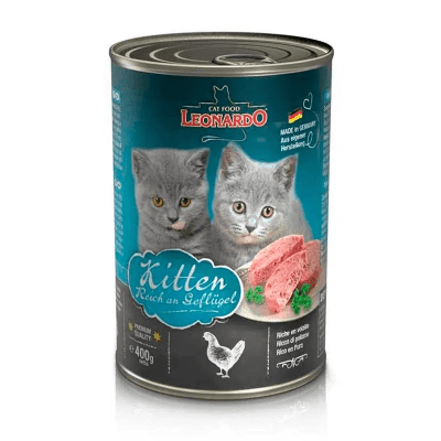 LATA LEONARDO KITTEN AVE