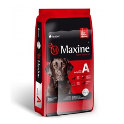 MAXINE ADULTO 21KG