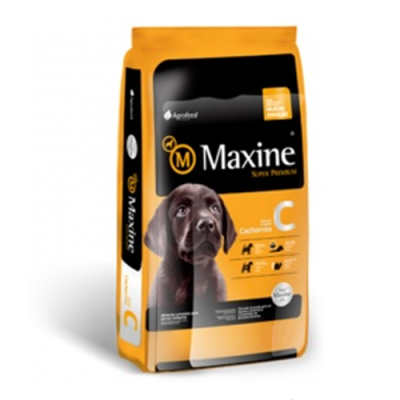 MAXINE CACHORRO 21KG
