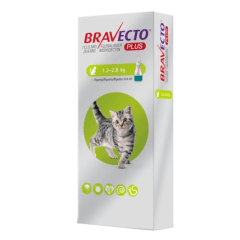 BRAVECTO PLUS GATO 1.2-2.8KG