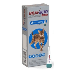 BRAVECTO PLUS GATO 2.8 - 6.25KG