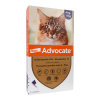 ADVOCATE 4-8KG1
