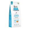 BRIT CARE DOG GRAIN FREE JUNIOR LARGE BREED SALMON1