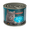 LATA LEONARDO KITTEN AVE2