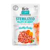 POUCH BRIT CARE CAT FILLETS IN GRAVY HEALTHY CONEJO 85G1