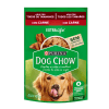 POUCH DOG CHOW ADULTO CARNE 100gr1