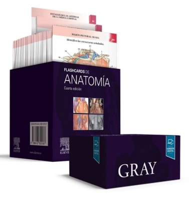 Drake Gray. Flashcards De Anatomia 4Ed.