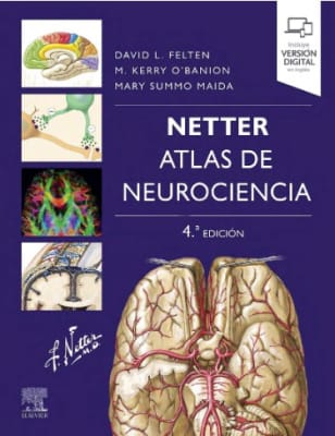 Netter (Felten) Atlas De Neurociencia 4Ed