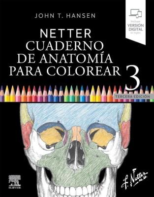Netter (Hansen) Netter. Cuaderno De Anatomia Para Colorear 3Ed.